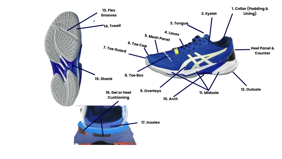 Anatomy and Parts of Volleyball shoes