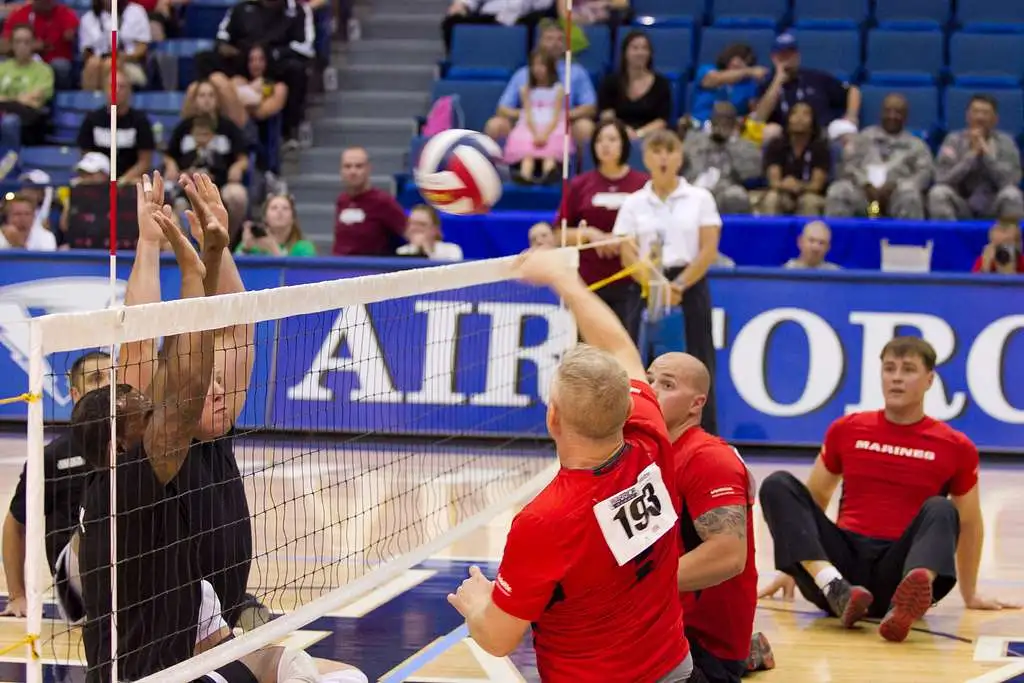 Sitting Volleyball Net 