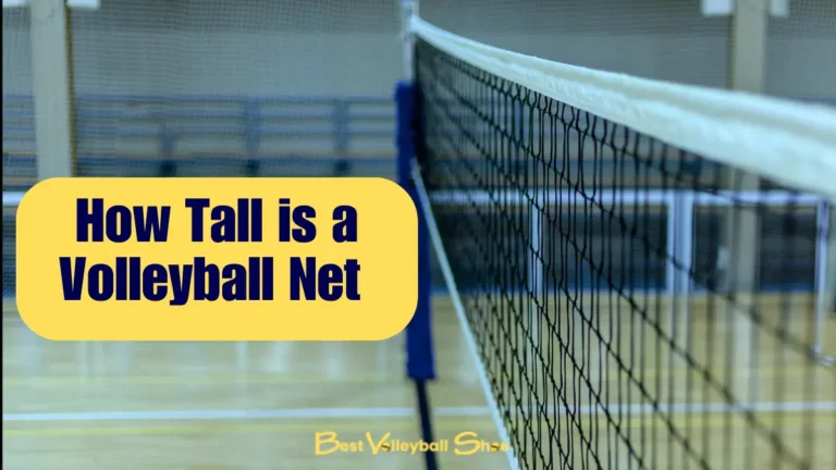 How tall is a volleyball net
